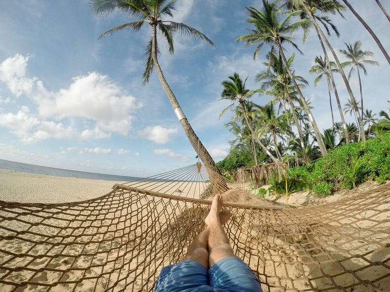 Beach Hammock
